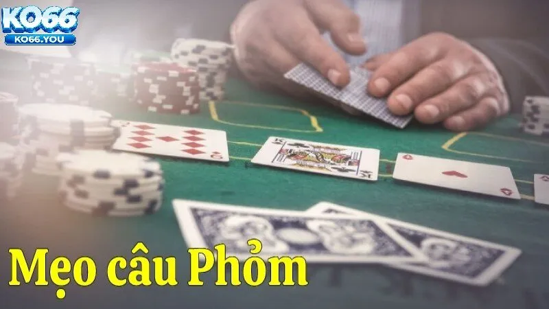 Các Thuật Ngữ Cơ Bản