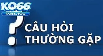 Câu Hỏi Thường Gặp Ko66 Là Gì?